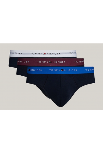 Tommy Hilfiger  3pack  BRIEF Waistband UM0UM02904-0VZ, Ανδρικά Σλιπ 3 τεμ. ΠΟΛΥΧΡΩΜΑ